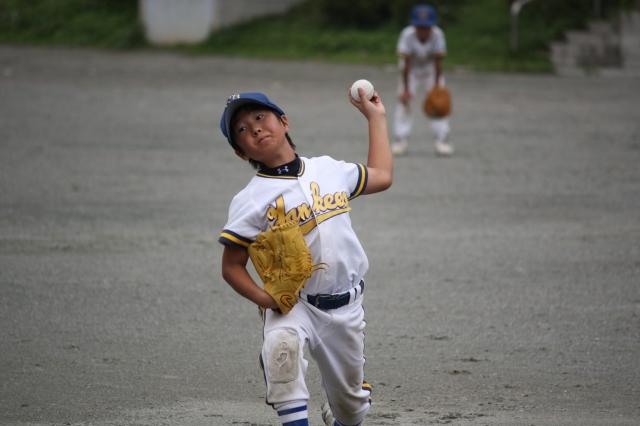 日高ヤンキース フォトアルバム 少年野球のポップアスリート